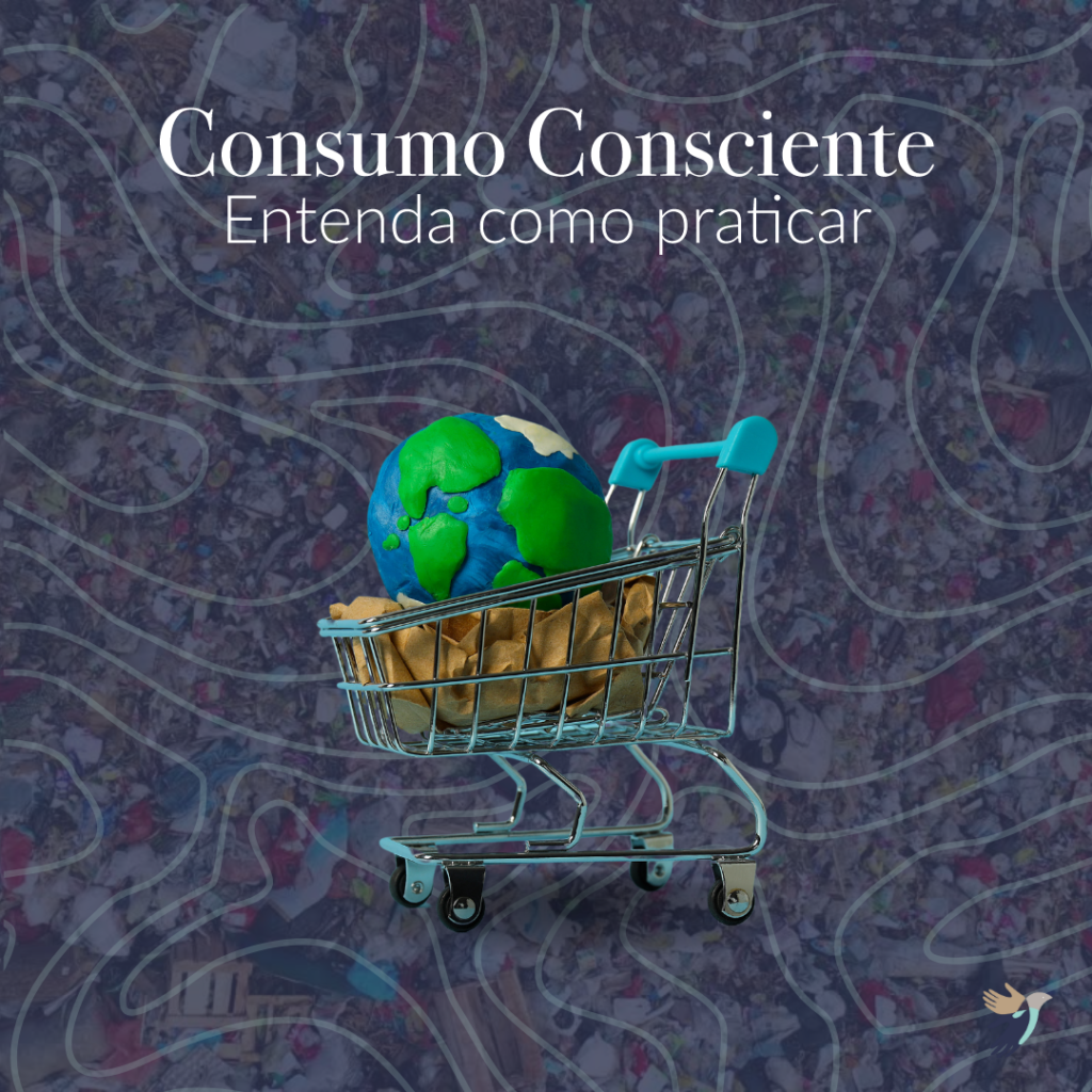 Como saber se o seu consumo é consciente.