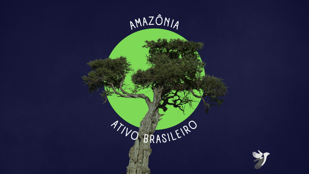Amazonia