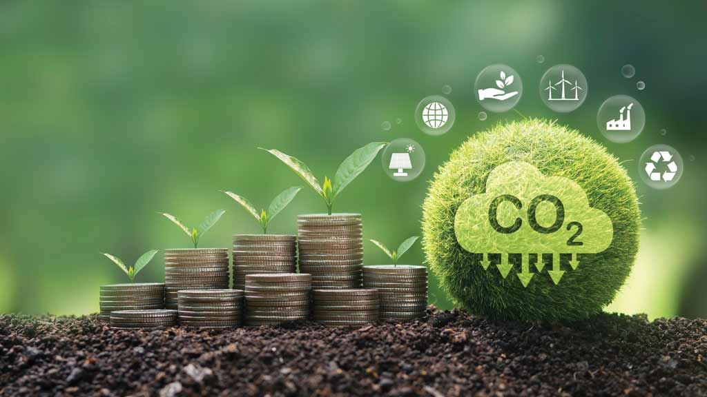 Mercado de Carbono
